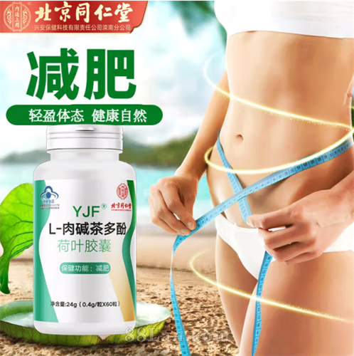 ����ͬ����L-�����Ӻ�Ҷ����